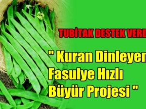 Kuran Dinleyen Fasulye Hızlı Büyür' Projesine TUBİTA'dan Destek